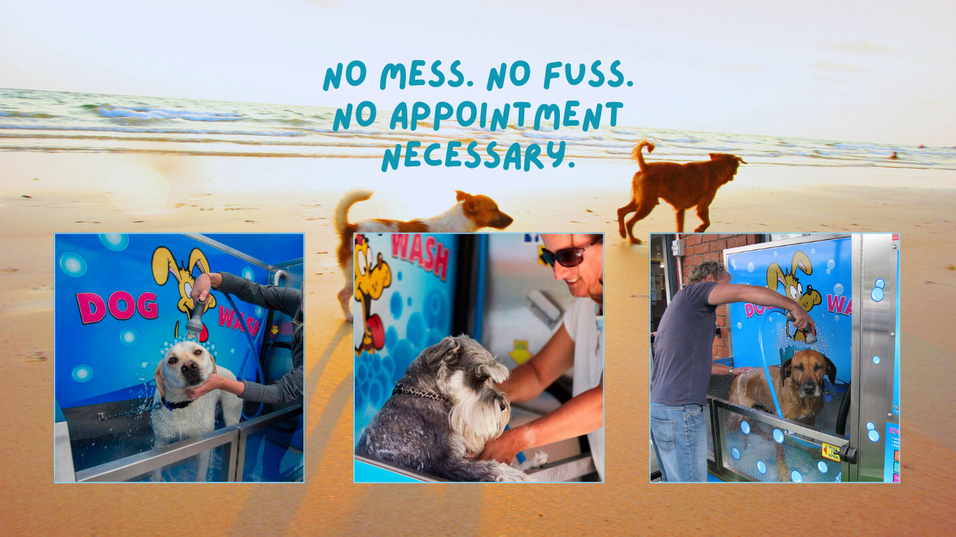 No mess. No Fuss. No appointment necessary.